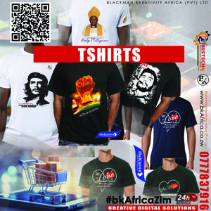 Standard Event T-Shirt (Bulk)